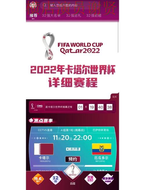 世界杯直播来临，世界杯买球网站访问方式与平台选择精选