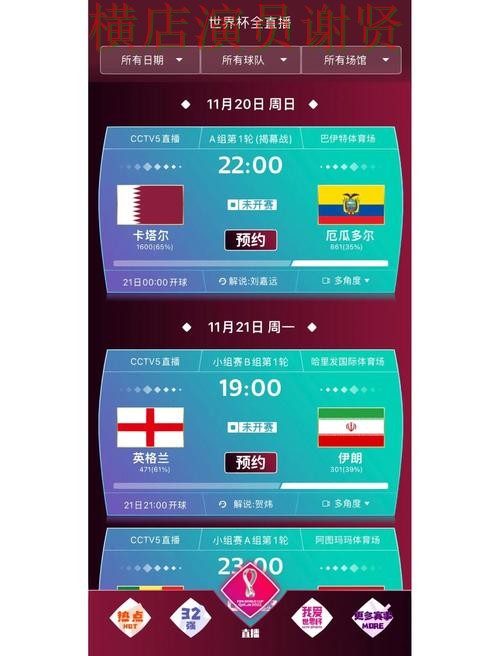 世界杯直播来临，世界杯买球网站访问方式与平台选择精选